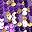 Purple And Gold