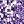 Purple And Silver