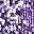 Purple And Silver