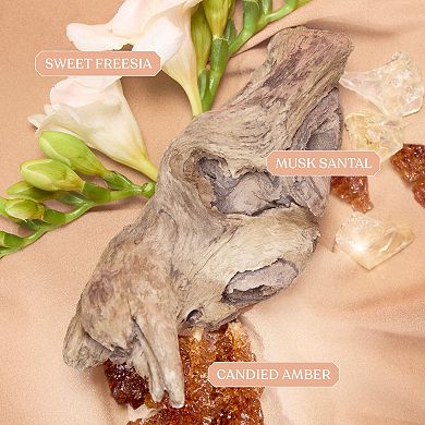 Musk Obsessions Mini Perfume Set