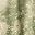 Dye Splatter Olive
