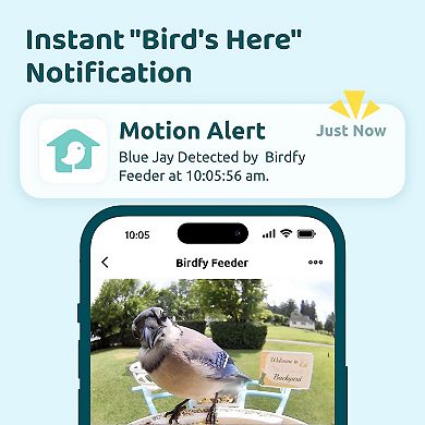Birdfy Smart Bird Feeder Lite with Camera