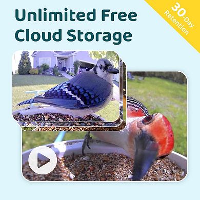 Birdfy Smart Bird Feeder Lite with Camera