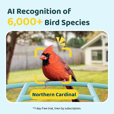 Birdfy Smart Bird Feeder Lite with Camera