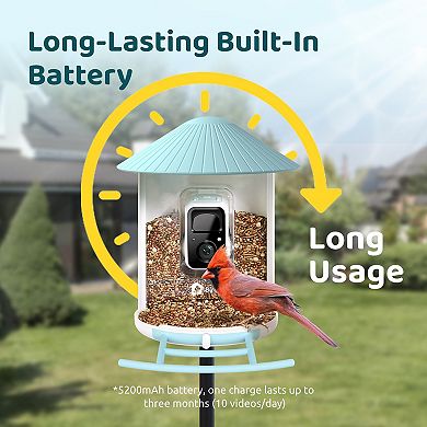 Birdfy Smart Bird Feeder Lite with Camera