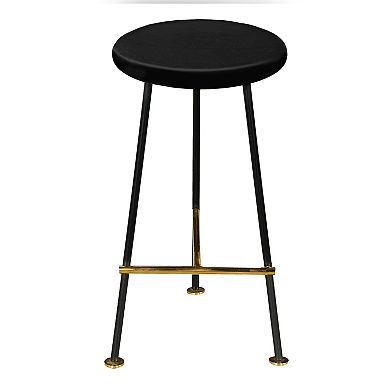 Elira 24.5 Backless Barstool with Round Mango Wood Seat, PVD Coating, Iron Legs, Footrest