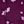 Dark Berry Ditsy