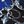 Blue Chain Scroll