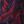 Berry Red Feather