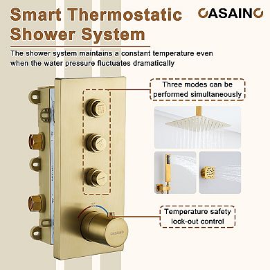 Thermostatic 2-Spray Patterns 12 in. Dual Ceiling Mount Fixed and Handheld Shower Head with 6-Jets