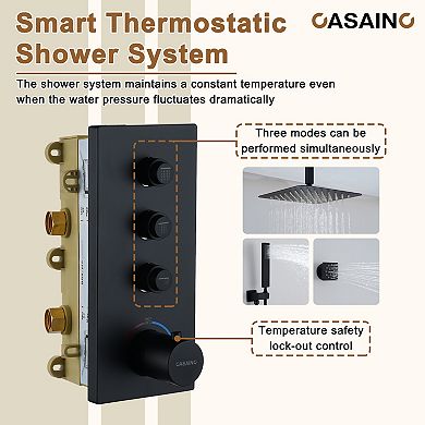 Thermostatic 2-Spray Patterns 12 in. Dual Ceiling Mount Fixed and Handheld Shower Head with 6-Jets