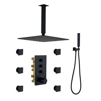 Thermostatic 2-Spray Patterns 12 in Dual Ceiling Mount Fixed and Handheld Shower Head with 6-Jets