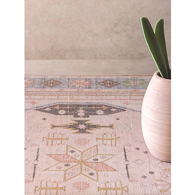 Delmar Rug Area Rug 5' x 8'