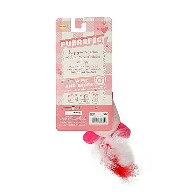 Meow Catnip Plush Bear Interactive Pet Toy