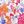 Dutchess Floral