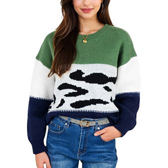 Women's Animal Print Color Block Sweater with Long Sleeves