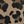 Tan Leopard Print