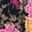 Black Floral