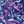 Navy Paisley