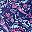 Navy Paisley