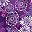 Rich Violet Blooming