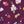 Purple Fairy Hearts