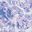 Purple Tie Dye Swirl