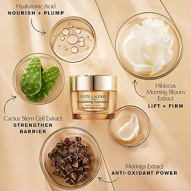 Estee Lauder 24/7 Revitalizing Supreme+ Skincare Set