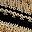 Beige Black