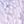 Purple Pink