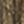 Rustic Brown
