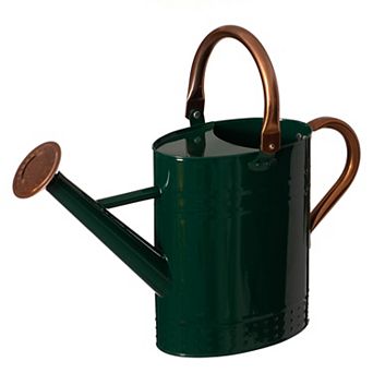 1 Gallon Watering Can with Removable Long Spout & Sprinkler Head for Indoor & Outdoor Use