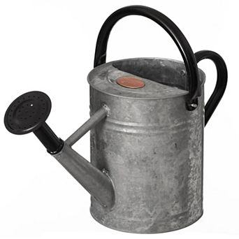 1 Gallon Watering Can with Removable Long Spout & Sprinkler Head for Indoor & Outdoor Use
