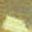 Gold Tone