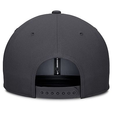 Men's Nike Anthracite Minnesota Twins Statement Pro Snapback Hat