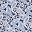Blue Paisley