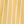 Golden Stripe