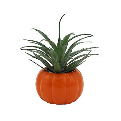 Celebrate Together™ Halloween Ghost Potted Succulent Table Decor