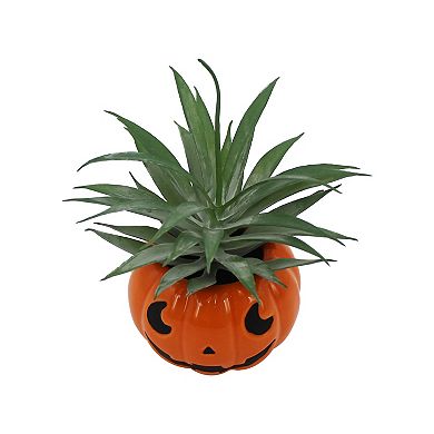 Celebrate Together™ Halloween Ghost Potted Succulent Table Decor