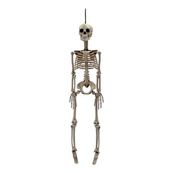 Celebrate Together™ Halloween 32-inch Skeleton Decor