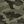 Stone Green Camo