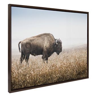Sylvie American Bison Buffalo in Prairie Grass Framed Canvas by Warren Metcalf