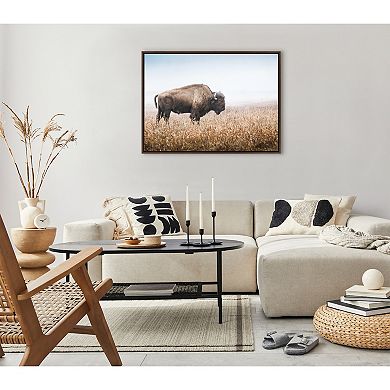 Sylvie American Bison Buffalo in Prairie Grass Framed Canvas by Warren Metcalf