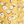 Yellow Print