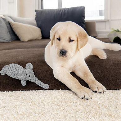 Durable Dog Rope Chew Toy for Interactive Play, Fun for Small to Medium Dogs