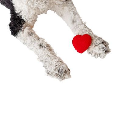 Midlee Plush Red Heart Valentine's Day Dog Toy