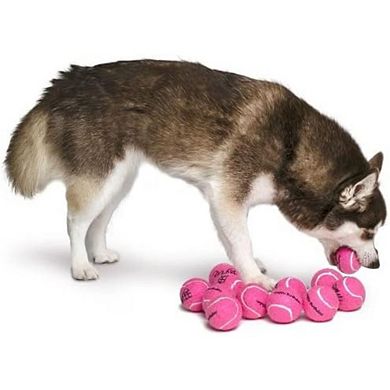 Midlee Happy Birthday Dog Tennis Balls (12 Pack)