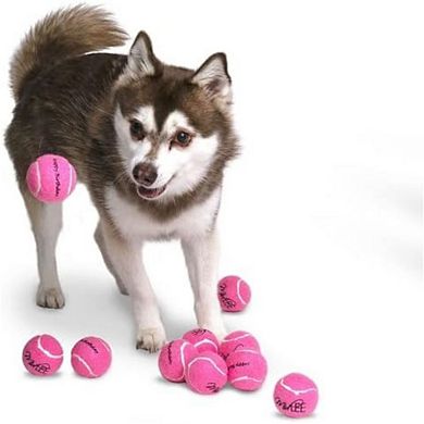 Midlee Happy Birthday Dog Tennis Balls (12 Pack)