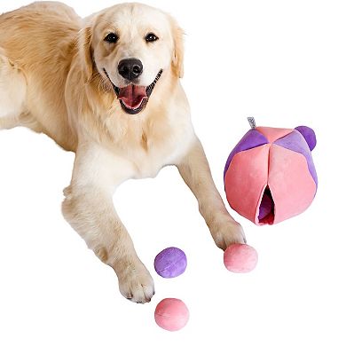 Midlee Hide A Ball Dog Toy