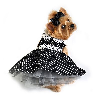 Doggie Design Polka Dot Black and White Dog Dress